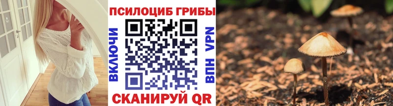 Галлюциногенные грибы ЛСД  mega ссылки  Чадан 